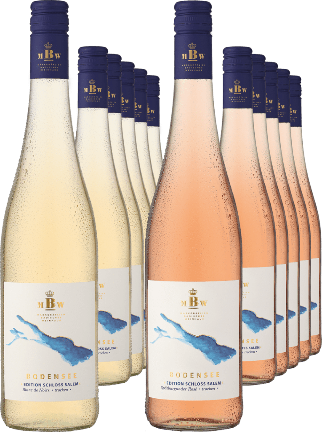 4002859983158 - 12er-PAKET »Gemischtes Doppel Schloss Salem Blanc de Noirs & Rosé«