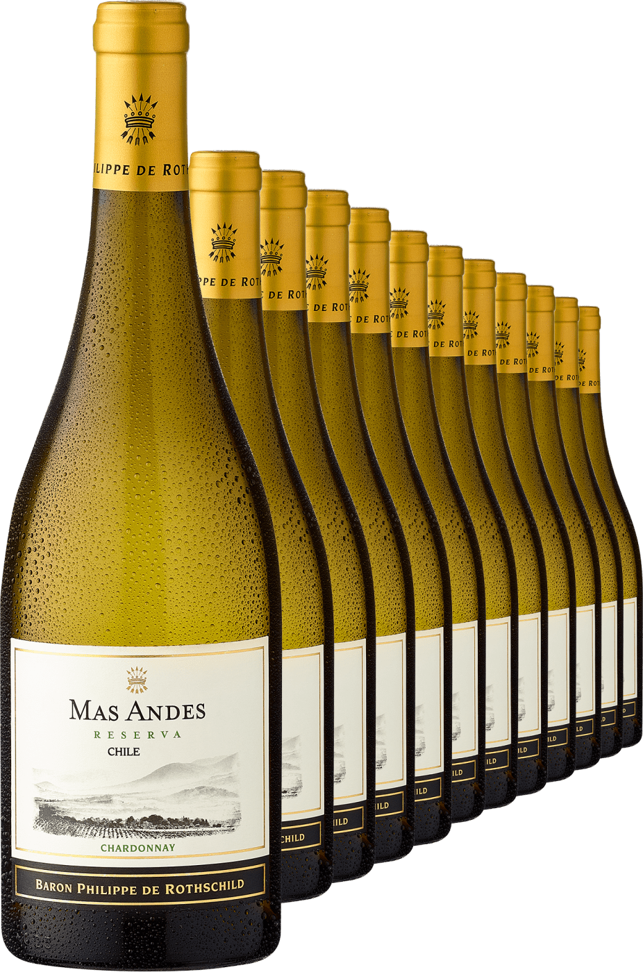 4002859983486 - 2023 Rothschild Mas Andes Gran Reserva Chardonnay im 12er-Vorratspaket