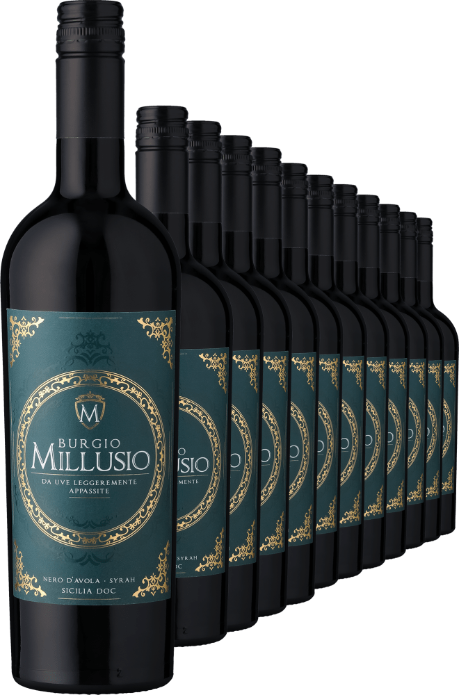 4002859983660 - 2022 Burgio Millusio Nero dAvola Syrah - Bio im 12er-Vorratspaket