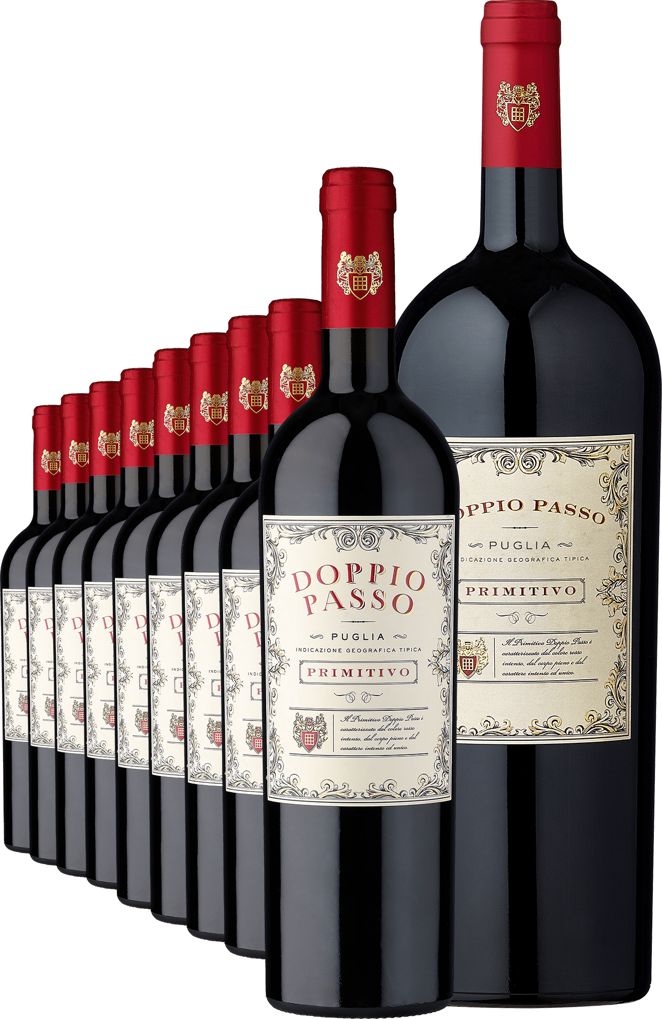 4002859984285 - 2021 Doppio Passo Primitivo im 9er-Vorratspaket inklusive Magnumflasche