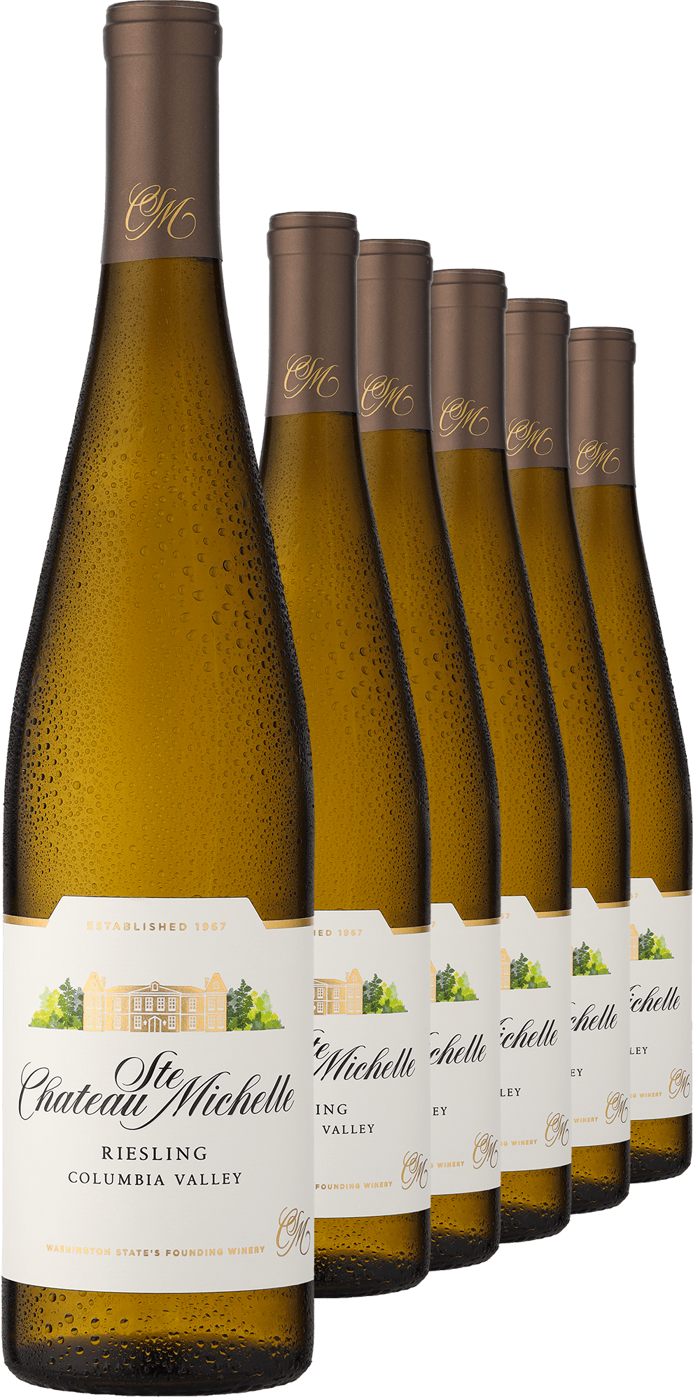 4002859984520 - 2021 Columbia Valley Riesling im 6er-Vorratspaket