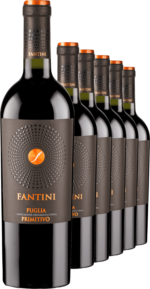 4002859984759 - 2022 Fantini Primitivo im 6er-Vorratspaket