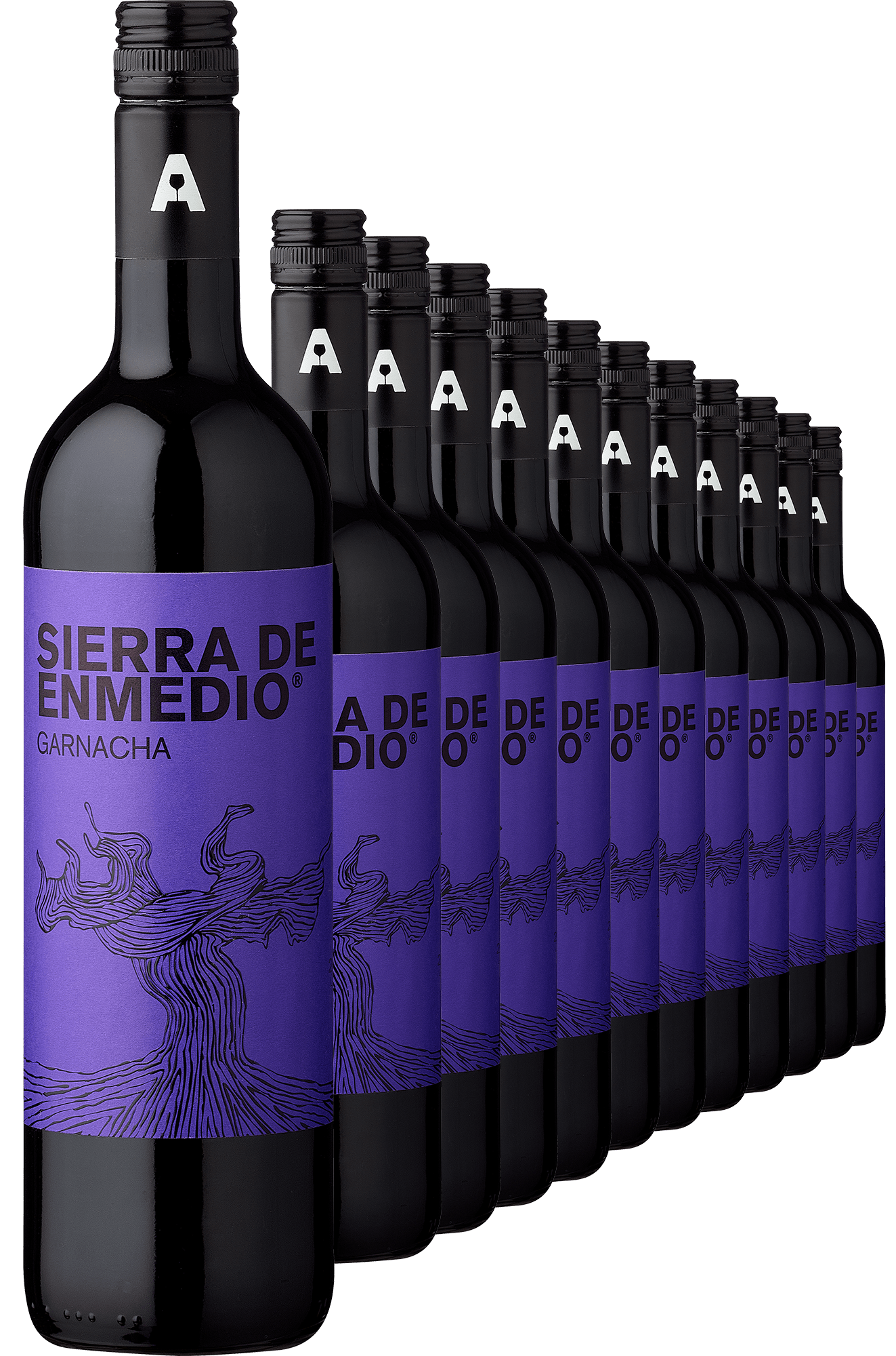 4002859986289 - 2020 Sierra de Enmedio Garnacha im 12er-Vorratspaket