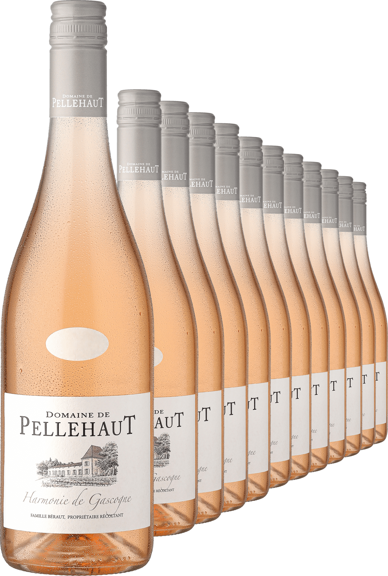 4002859986319 - 2024 Domaine de Pellehaut »Harmonie de Gascogne« Rosé im 12er-Vorratspaket