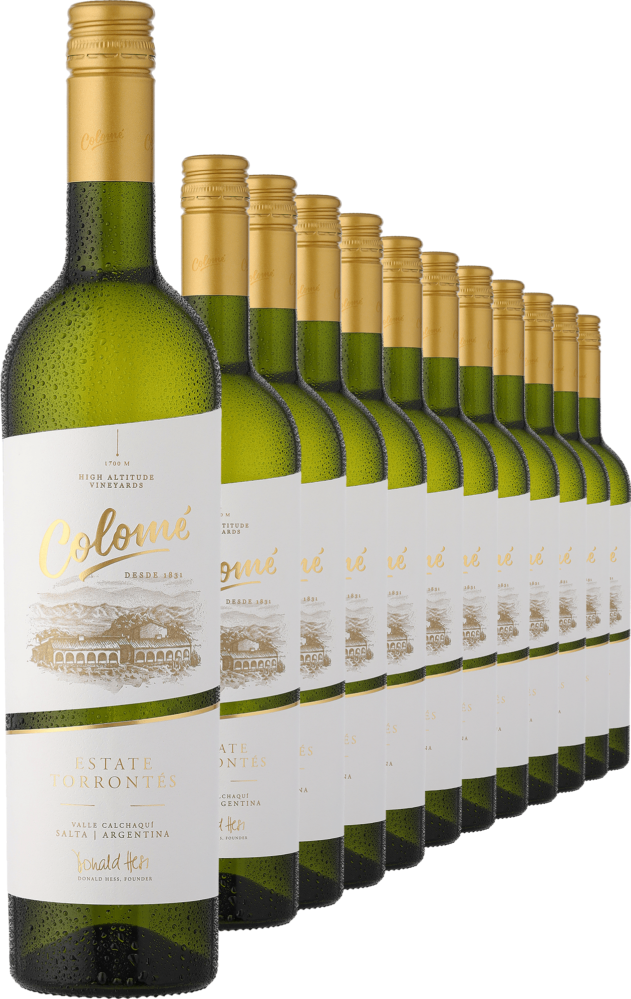 4002859986685 - 2023 Colomé Torrontés im 12er-Vorratspaket