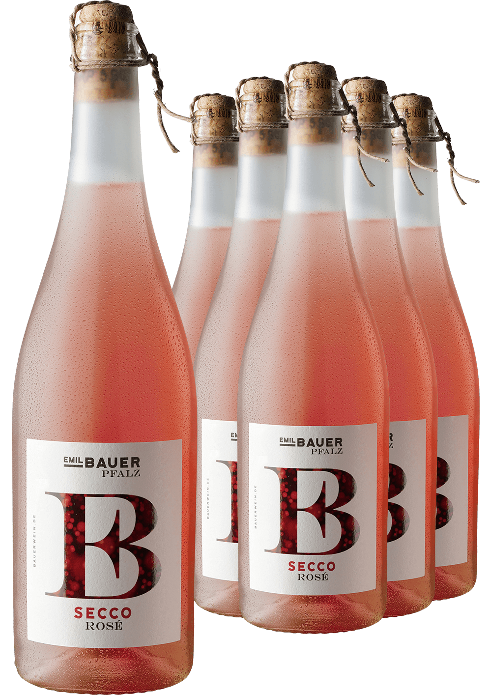 4002859986906 - 5+1-PAKET Emil Bauer Secco Rosé