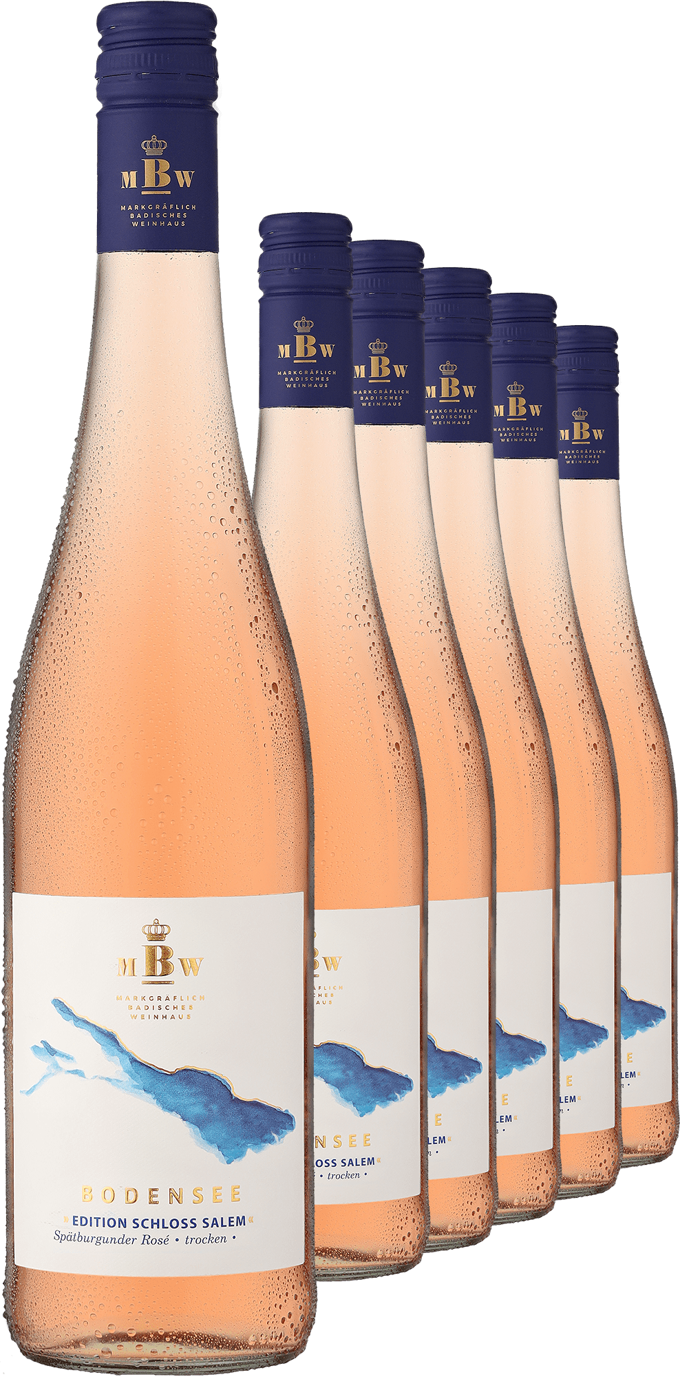 4002859986951 - 2023 Bodensee »Edition Schloss Salem« Rosé im 6er-Vorratspaket