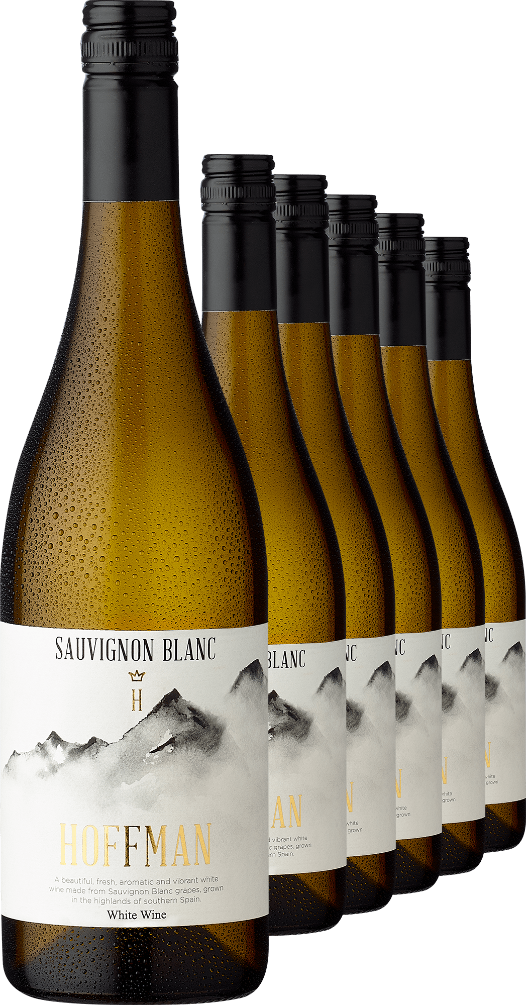 4002859986982 - 2023 Alceño Hoffman Sauvignon Blanc im 6er-Vorratspaket