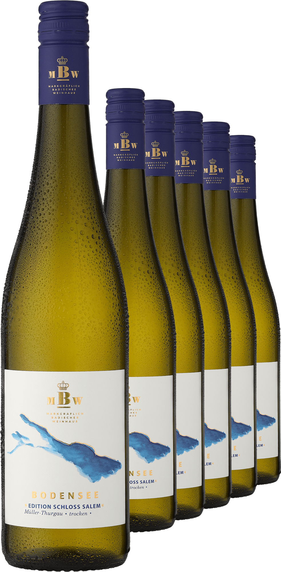 4002859987330 - 2023 Bodensee »Edition Schloss Salem« Müller-Thurgau im 6er-Vorratspaket
