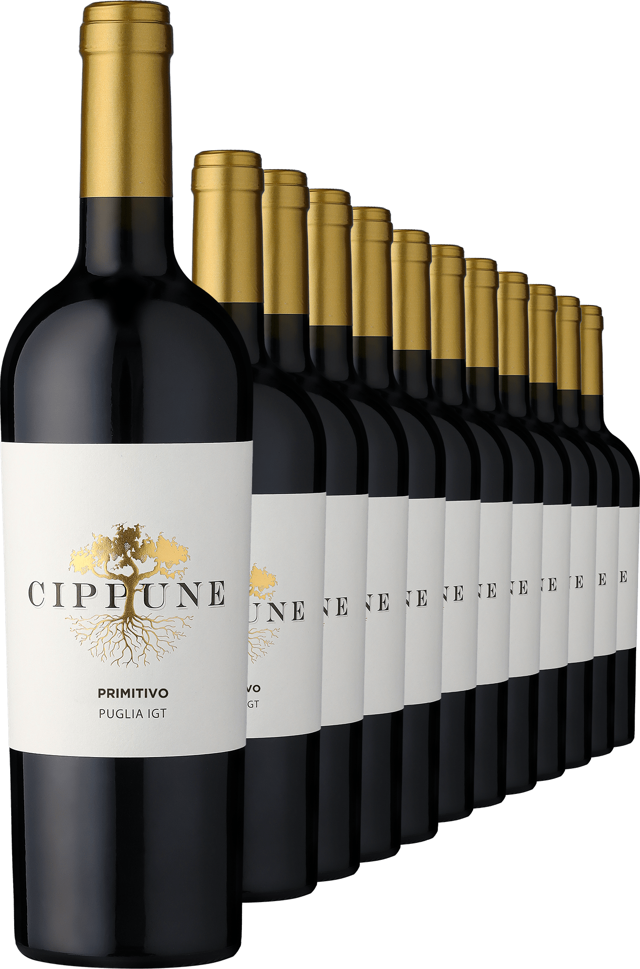 4002859987972 - 2023 Cippune Primitivo im 12er-Vorratspaket