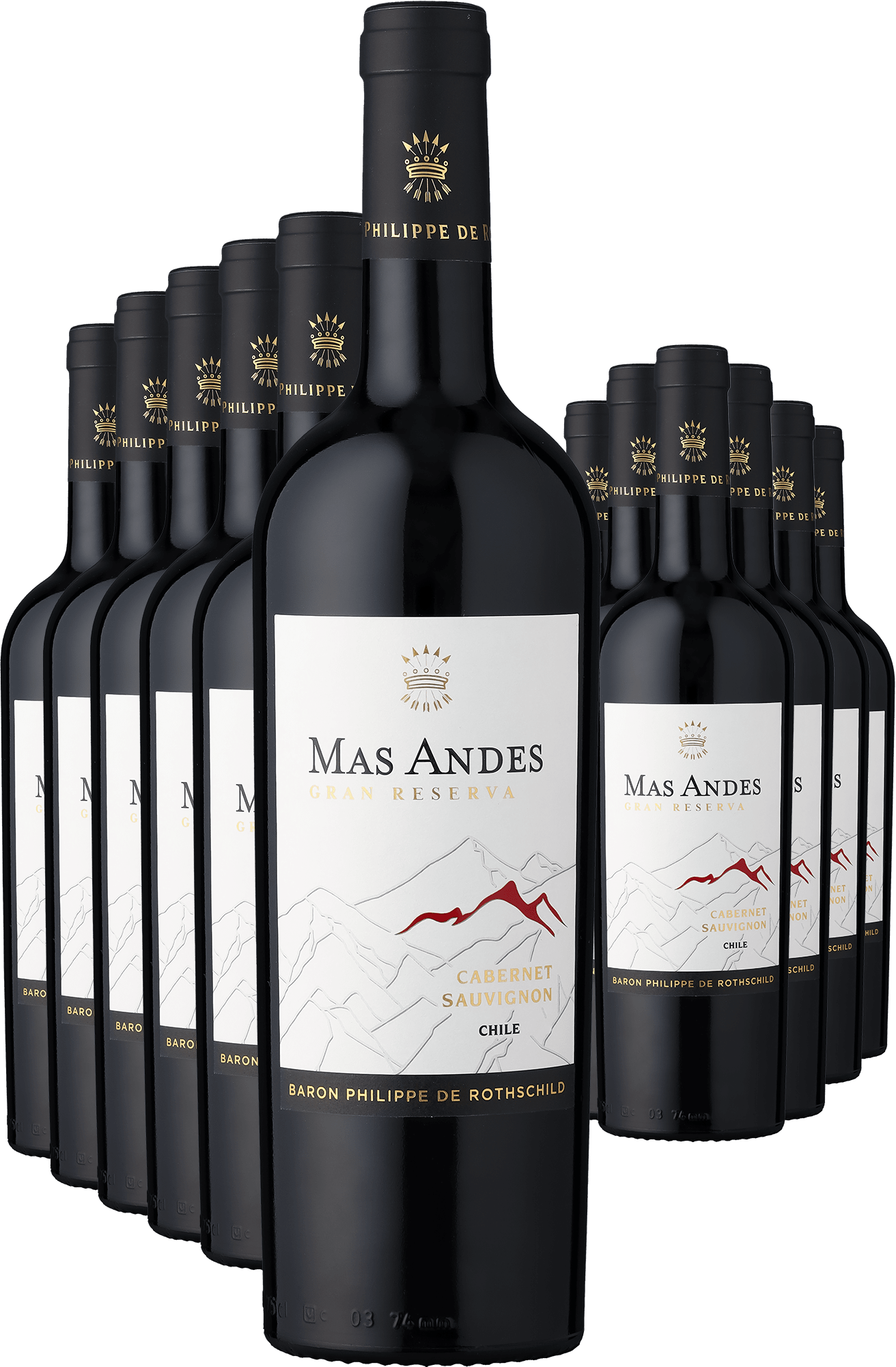 4002859988016 - 6+6-PAKET Rothschild Mas Andes Gran Reserva Cabernet Sauvignon 2022