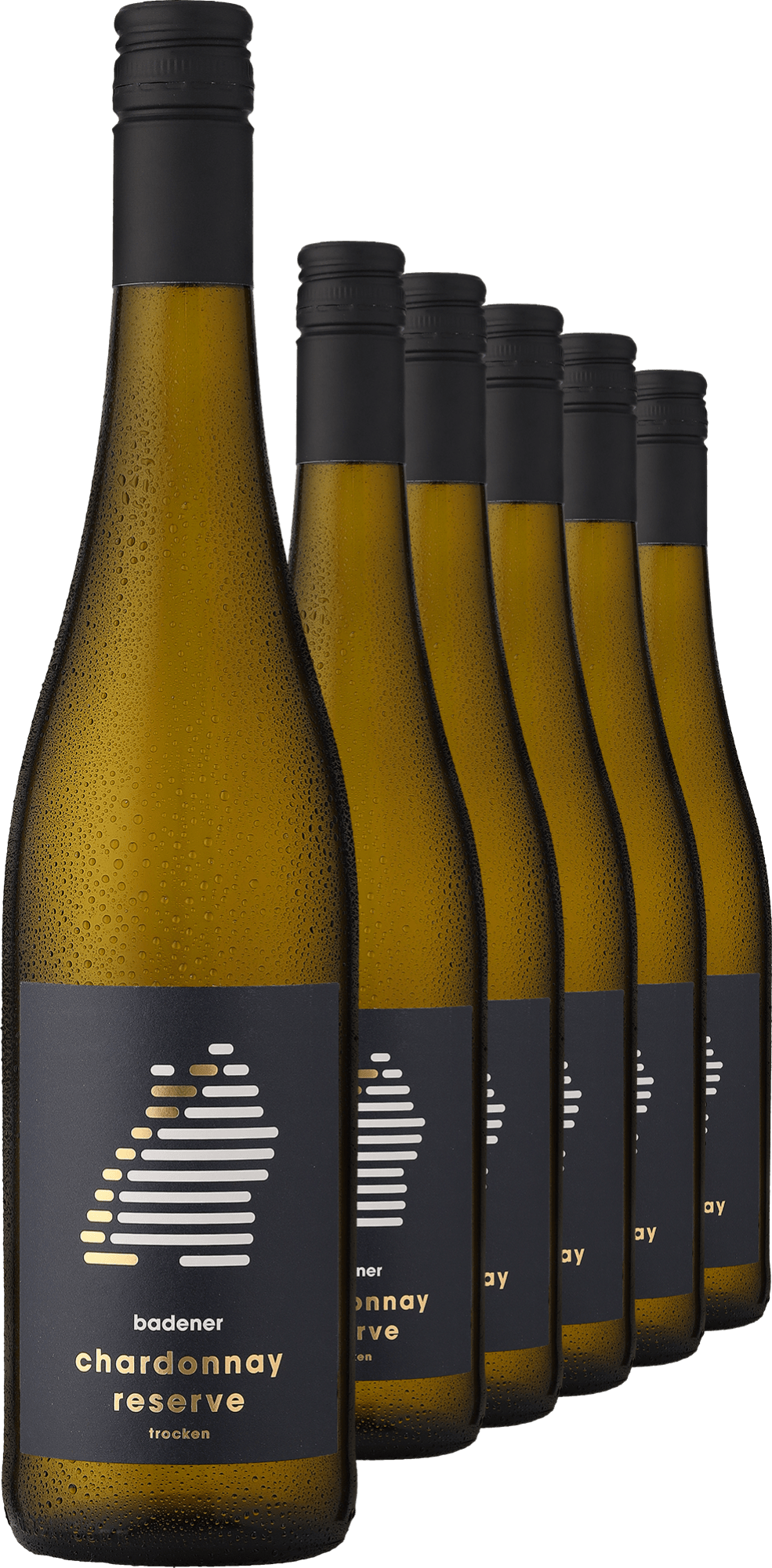 4002859988368 - 2023 badener Chardonnay Reserve im 6er-Vorratspaket