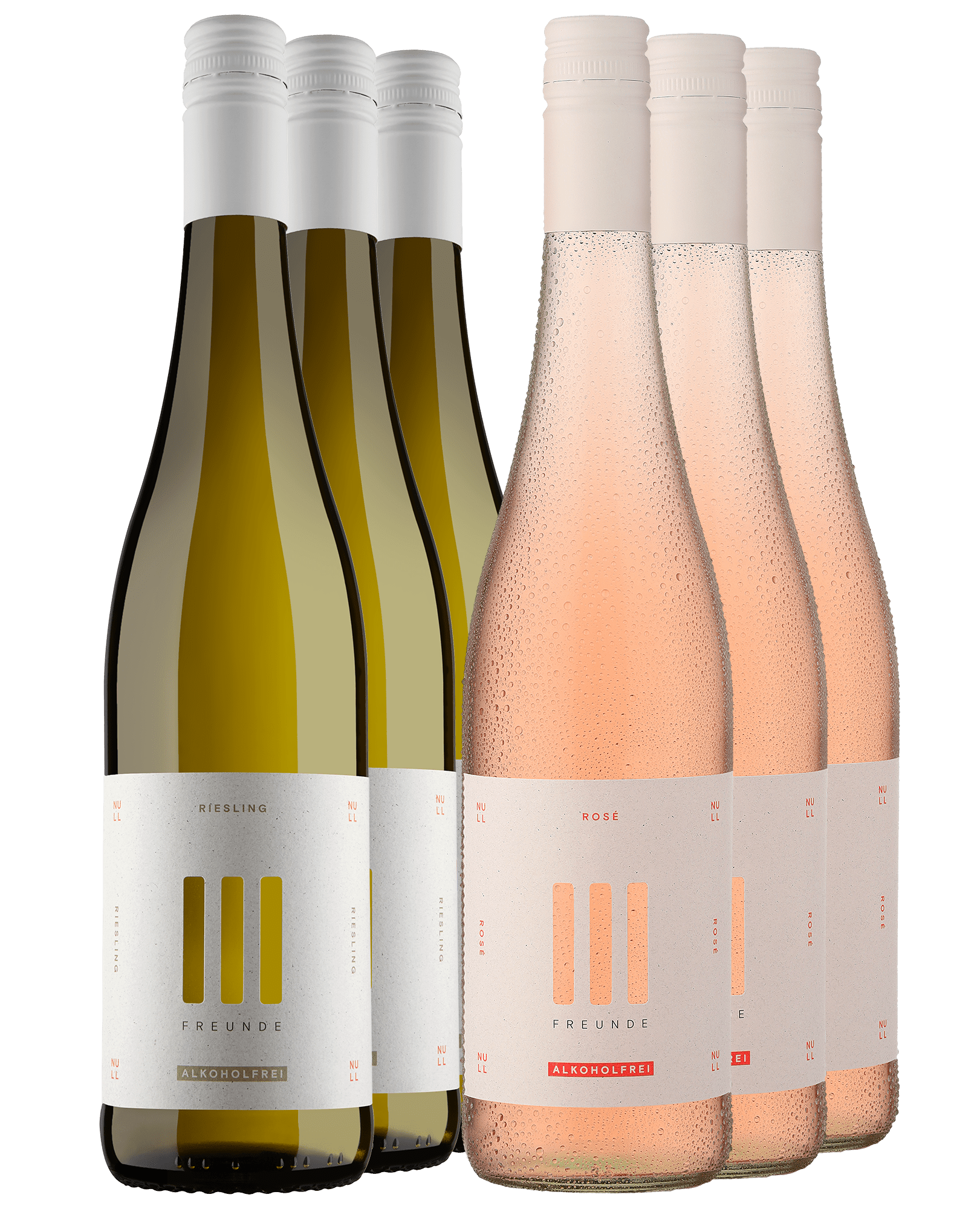 4002859988580 - 6er-Paket »Gemischtes Doppel III FREUNDE Alkoholfrei«