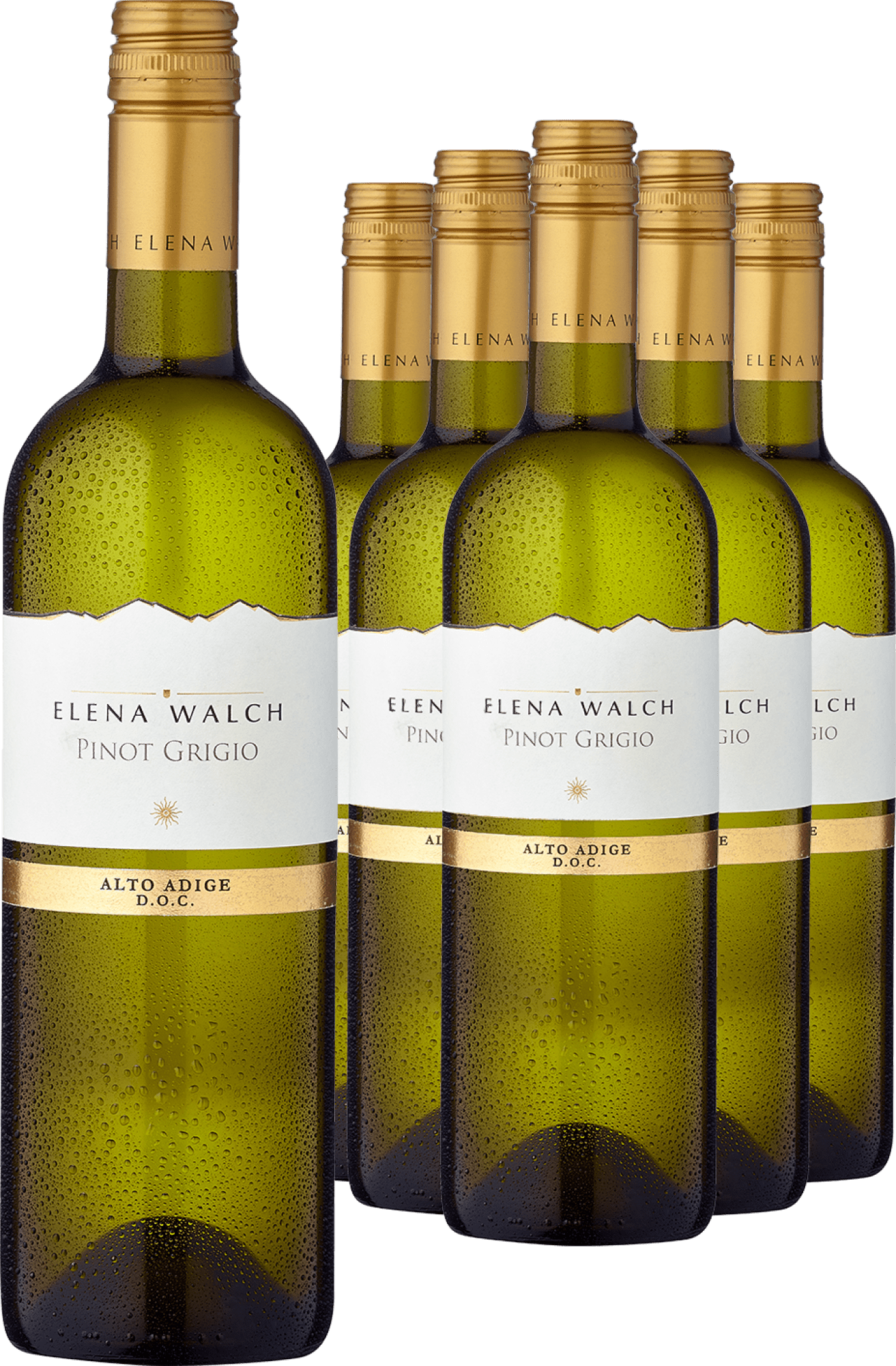 4002859988757 - 5+1-PAKET Pinot Grigio 2023