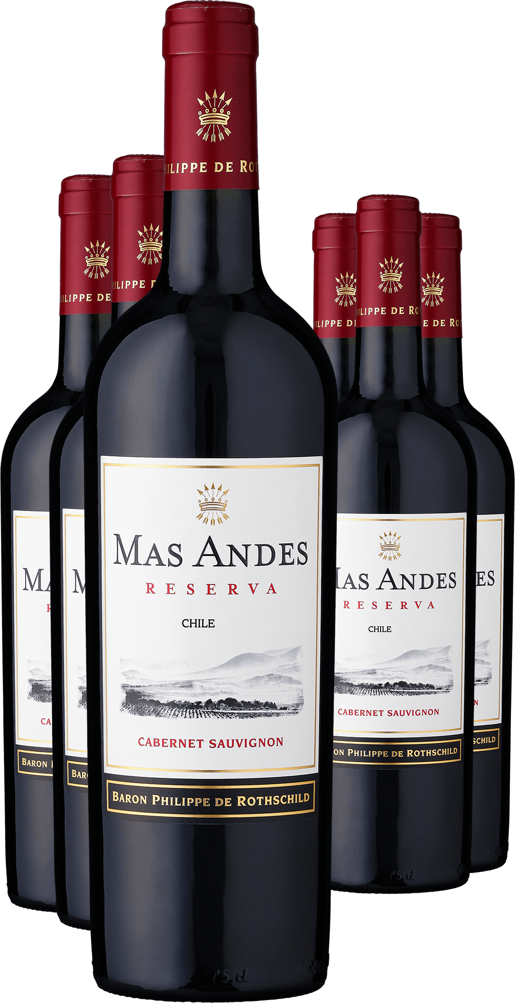 4002859988955 - 3+3-PAKET Rothschild Mas Andes Gran Reserva Cabernet Sauvignon 2022