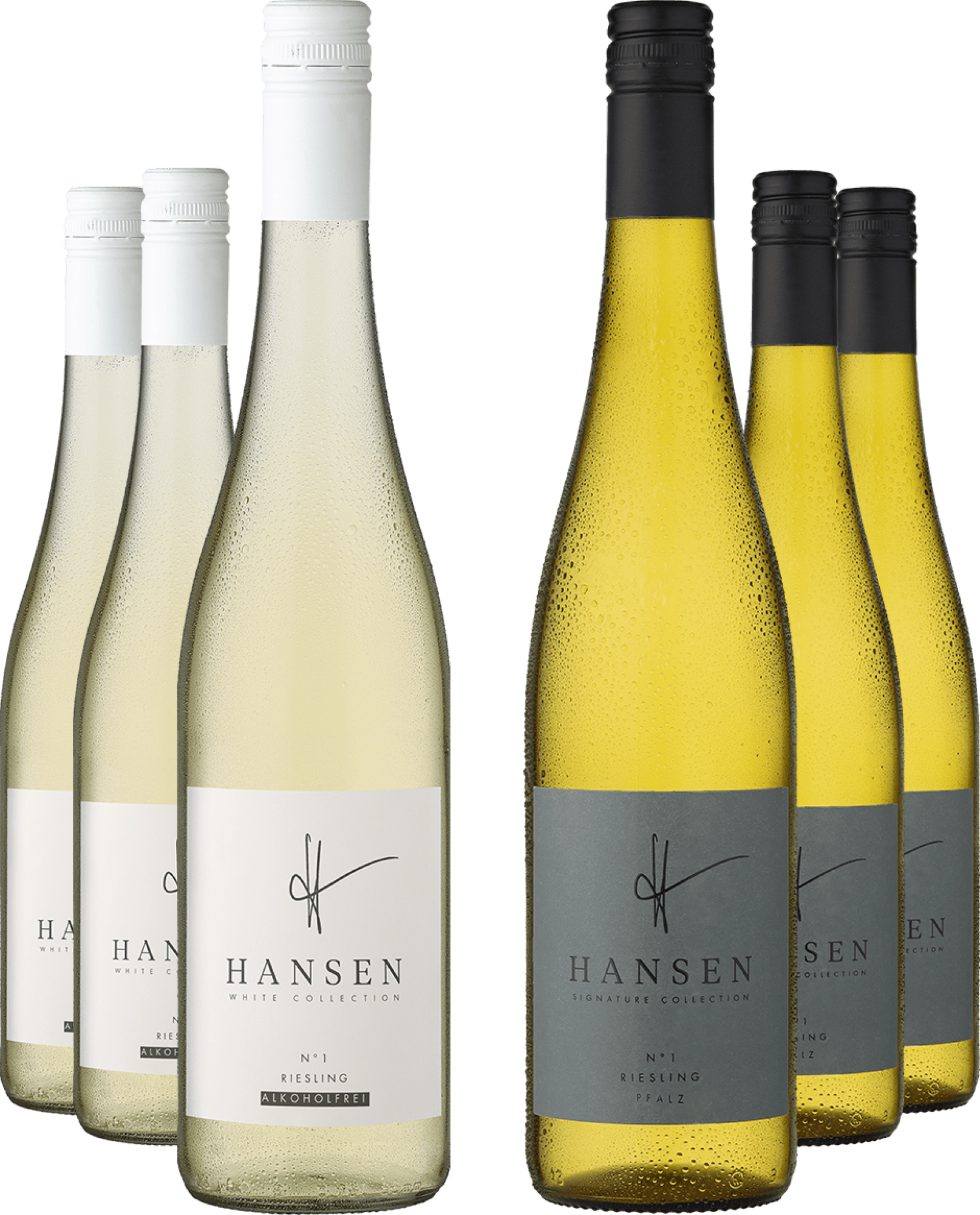 4002859989372 - 6er-Probierpaket »HANSEN Riesling-Duo«