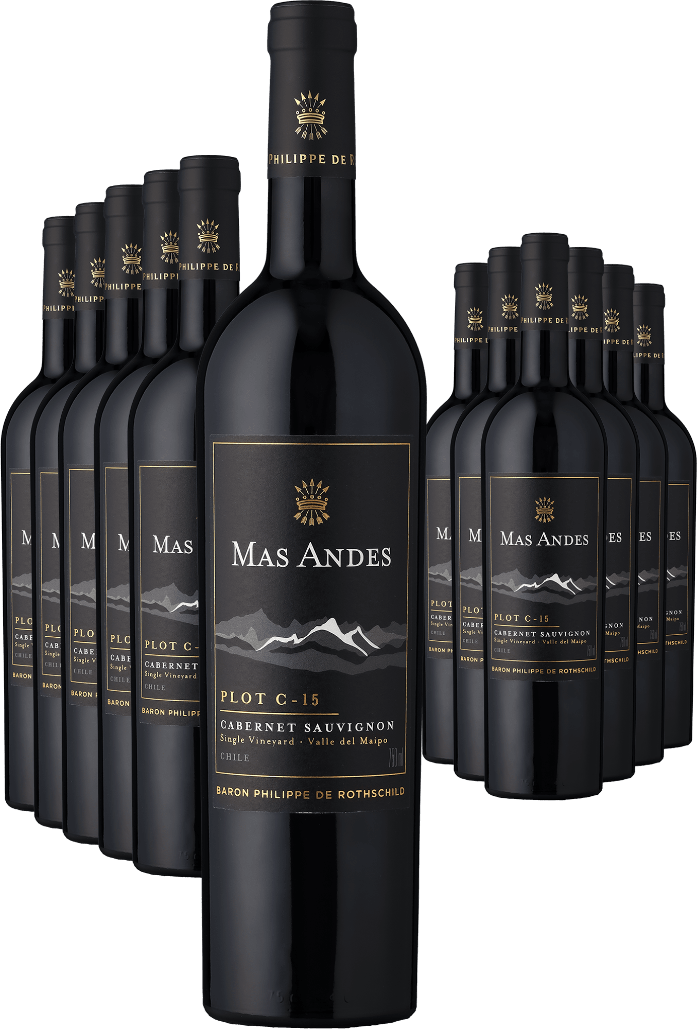 4002859989495 - 6+6-PAKET Rothschild Mas Andes PLOT C-15 Cabernet Sauvignon 2022