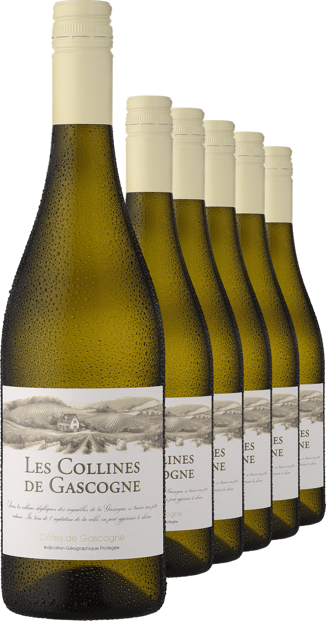 4002859989648 - 2023 »Les Collines de Gascogne« Blanc im 6er-Vorratspaket