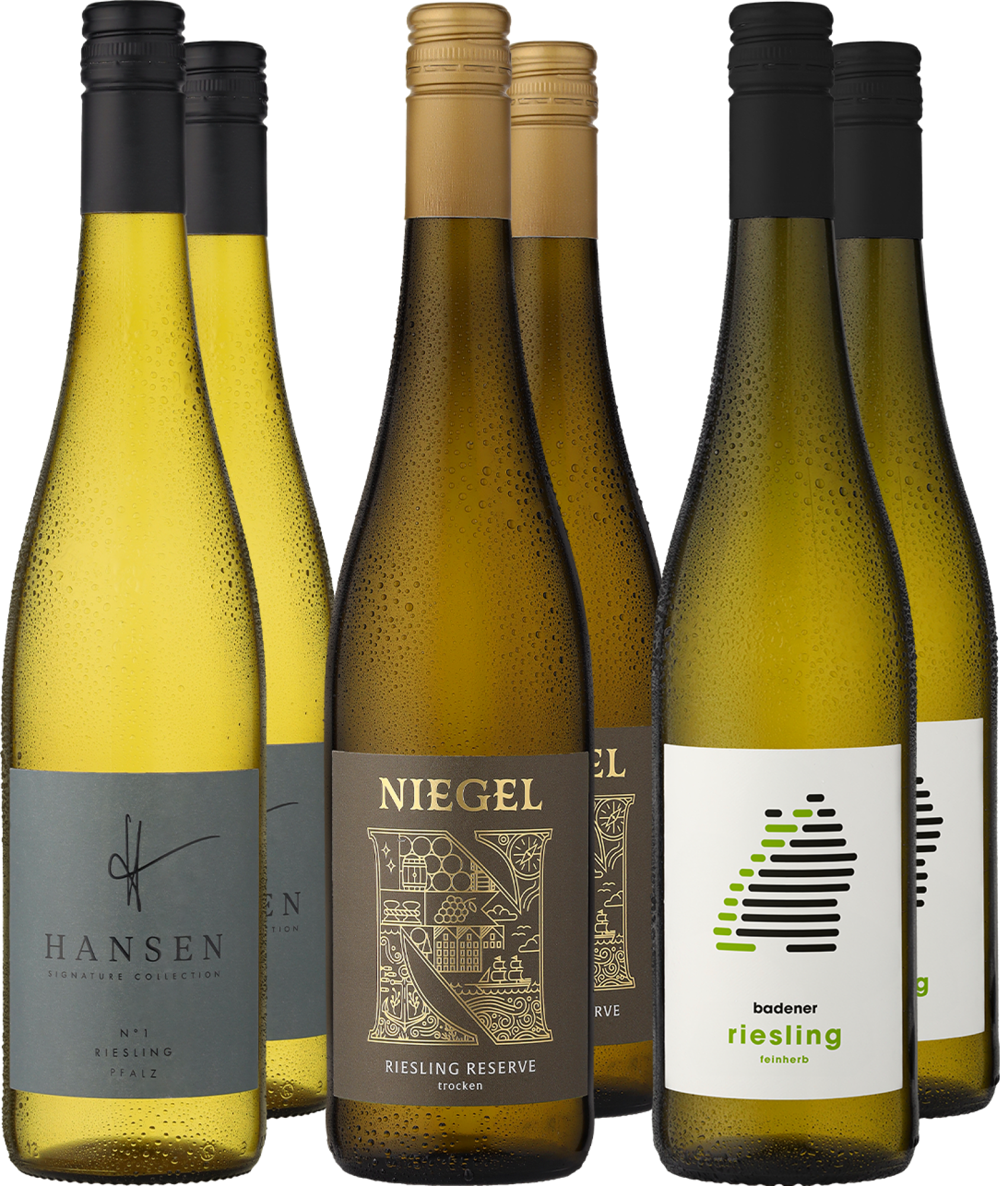 4002859989686 - 6er-Probierpaket »Riesling Best Buy«