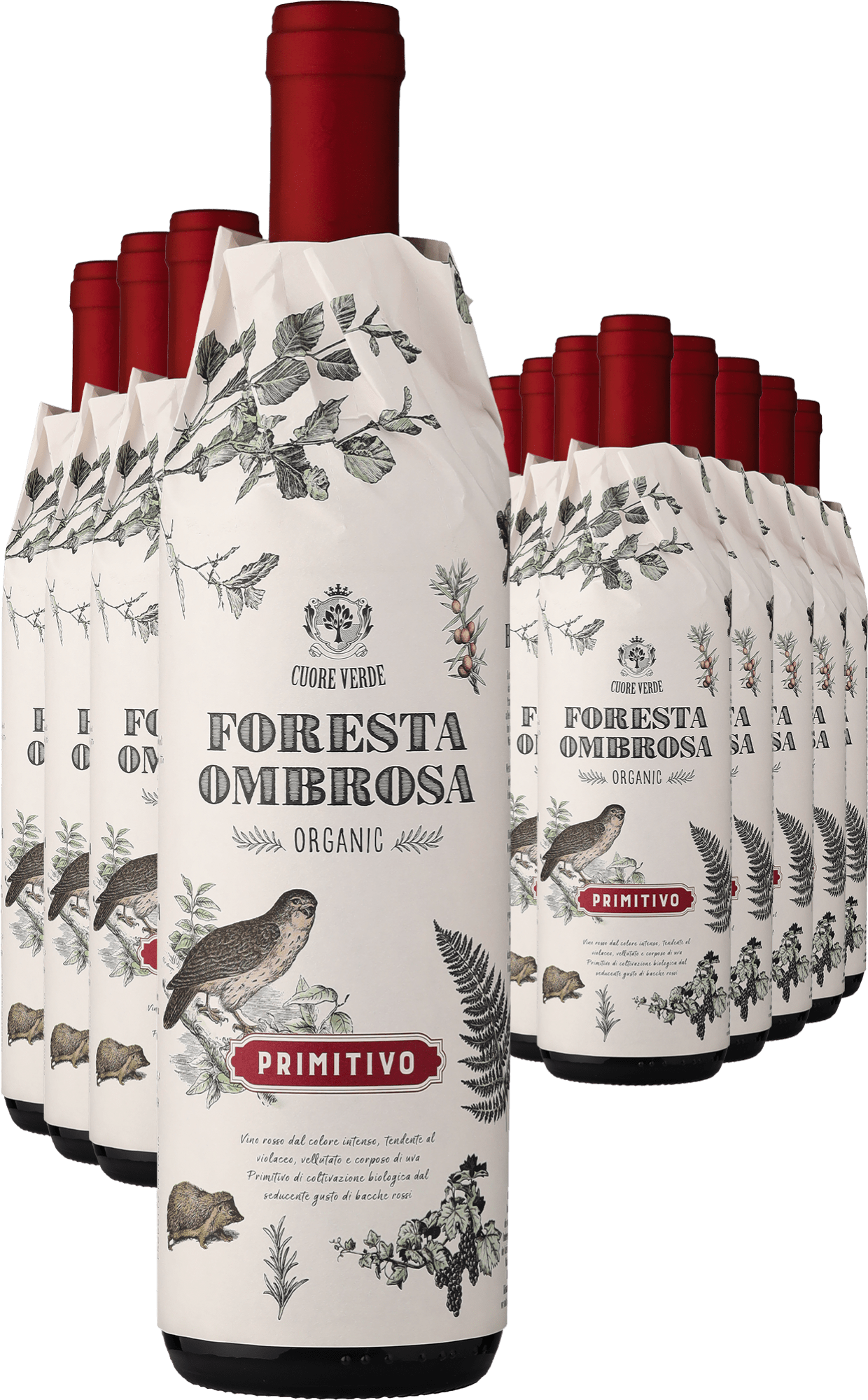 4002859989730 - 8+4-PAKET Cuore Verde »Foresta Ombrosa« Primitivo – Bio 2023