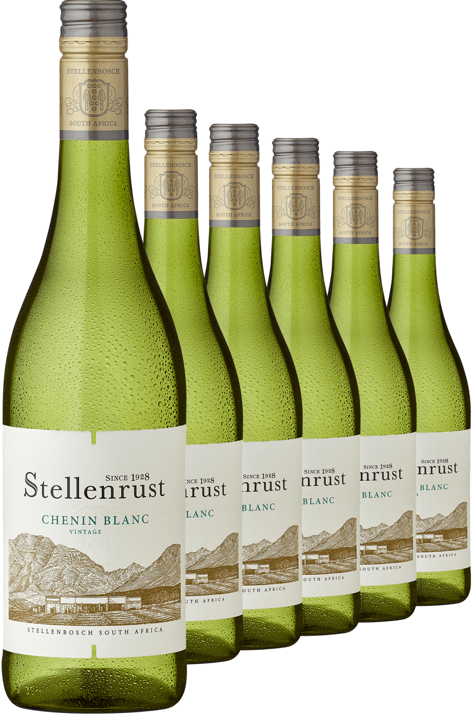 4002859990491 - Stellenrust Chenin Blanc im 6er Vorratspaket Jetzt 40% sparen