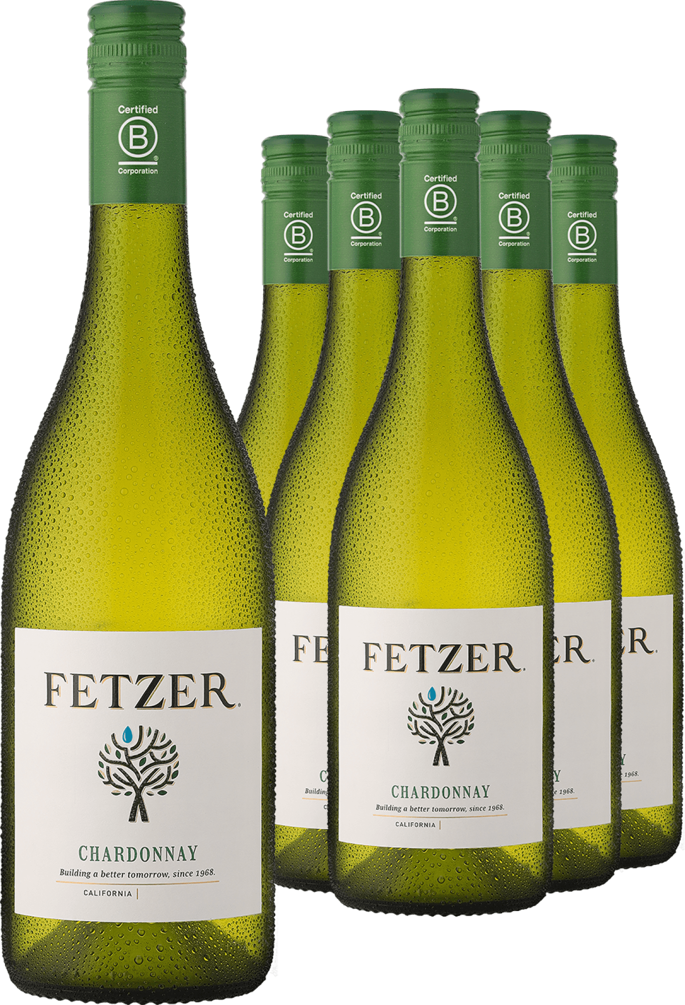 4002859993829 - 5+1-PAKET Fetzer »Sundial« Chardonnay 2022