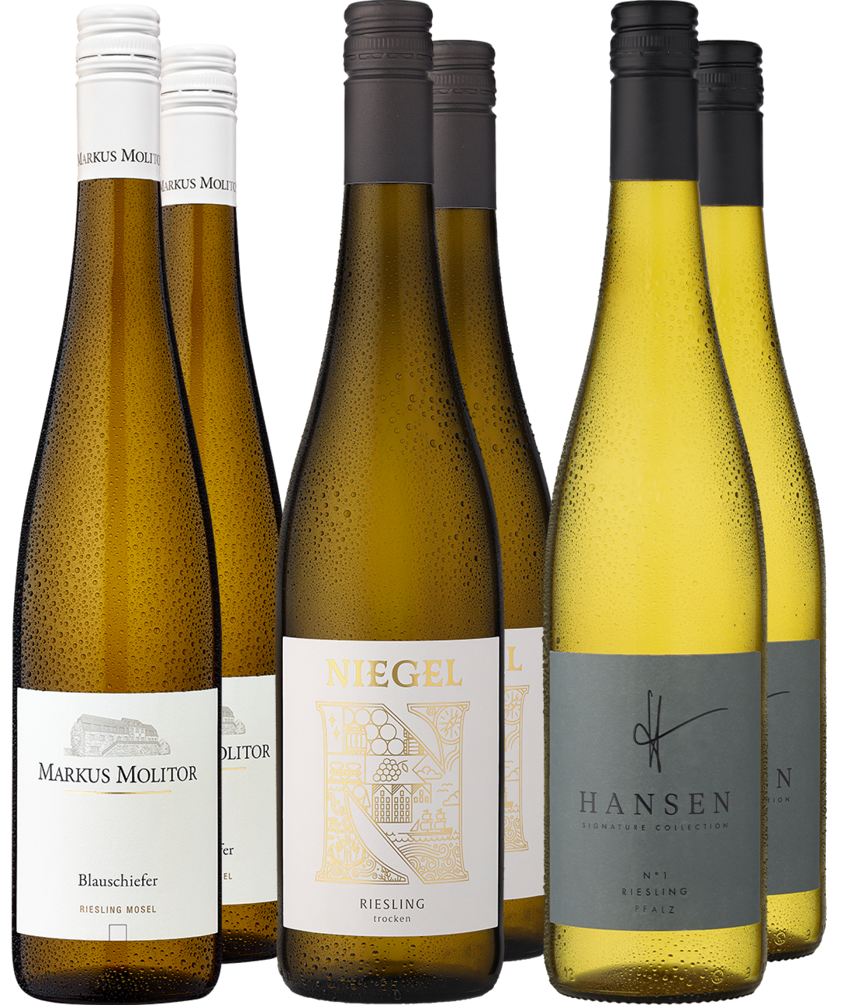 4002859993898 - 6er-Probierpaket »Riesling Best Buy«