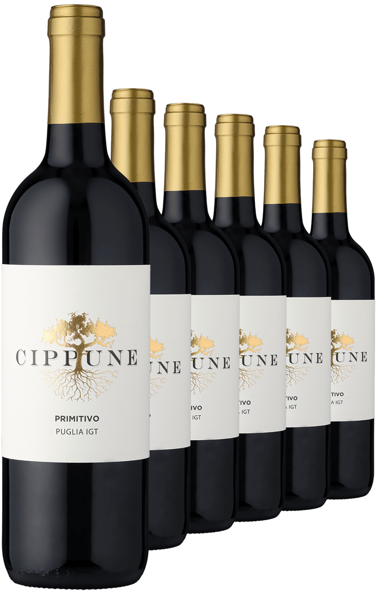 4002859994161 - 2023 Cippune Primitivo im 6er-Vorratspaket