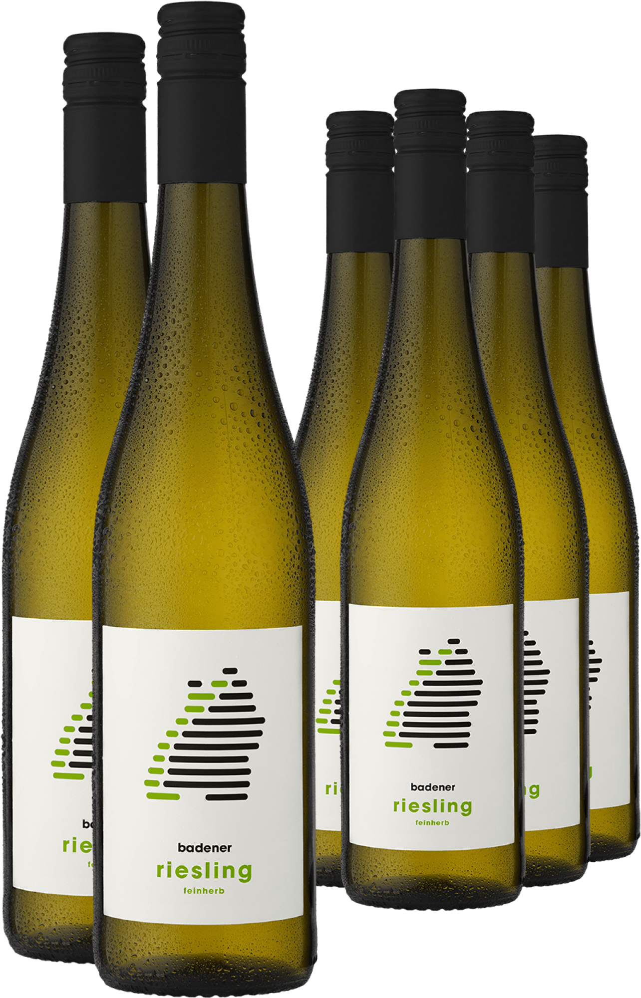 4002859994185 - 4+2 PAKET badener Riesling feinherb 2023