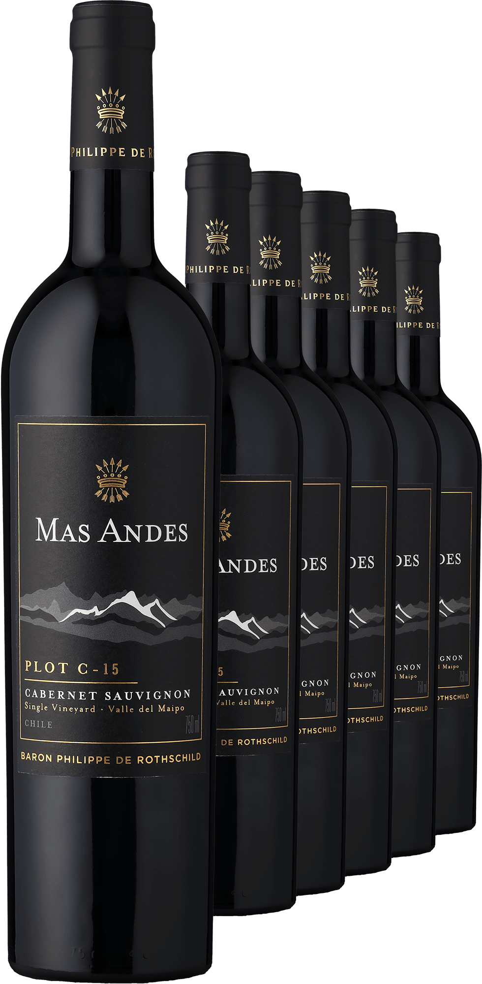 4002859994215 - 2022 Rothschild Mas Andes PLOT C-15 Cabernet Sauvignon im 6er-Vorratspaket