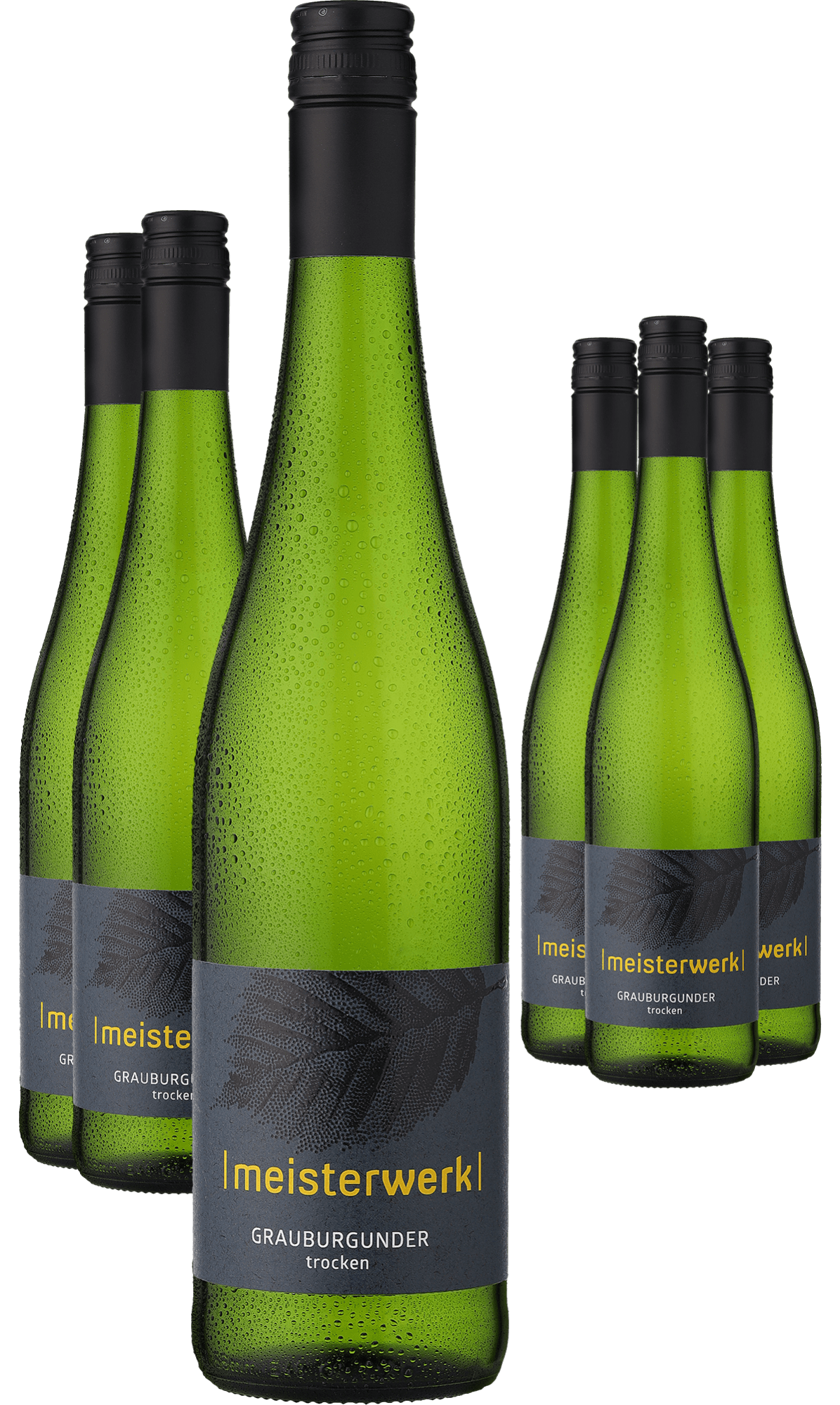 4002859994642 - 2023 Espenhof »Meisterwerk« Grauburgunder im 6er-Vorratspaket