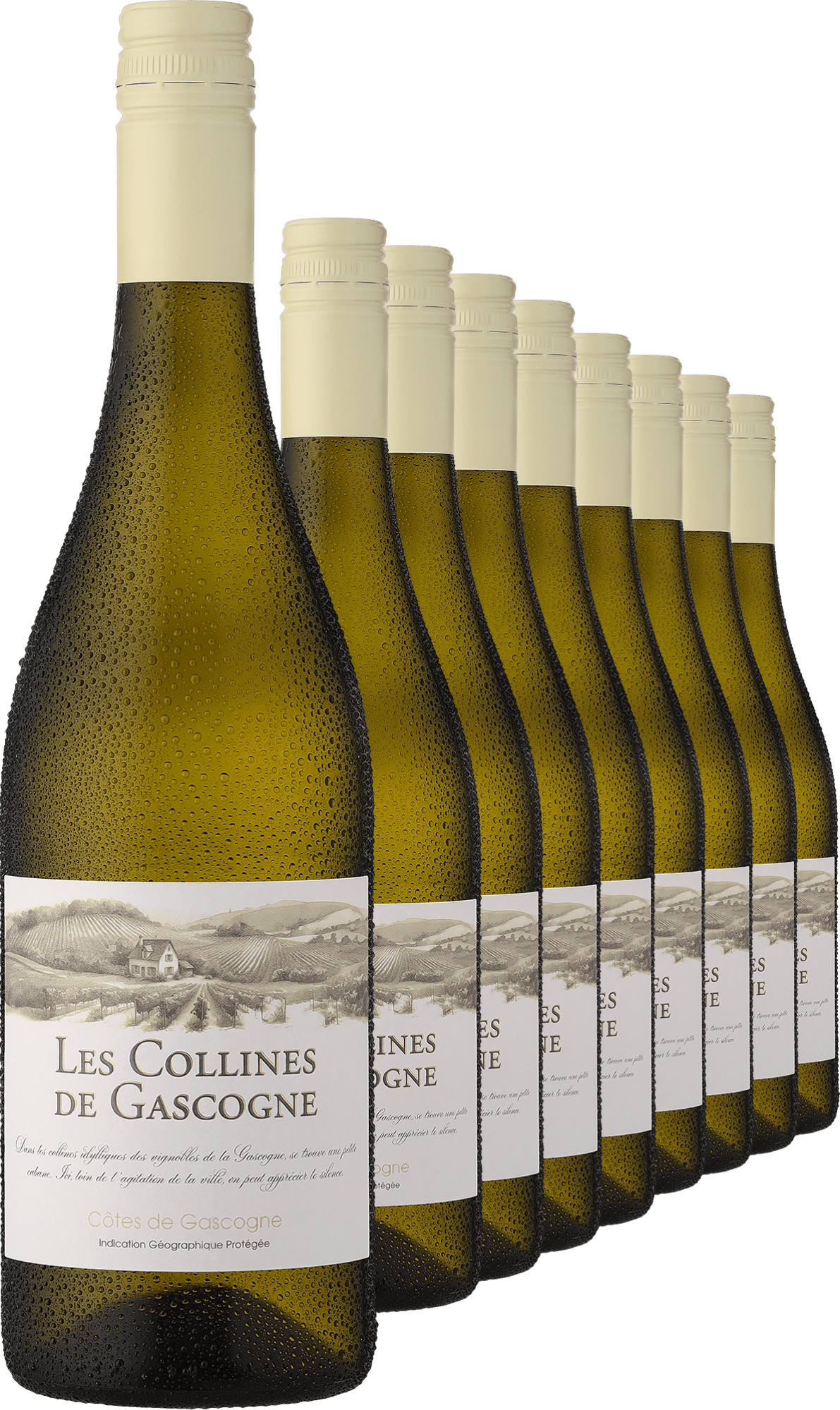 4002859994659 - 2023 »Les Collines de Gascogne« Blanc im 9er-Vorratspaket