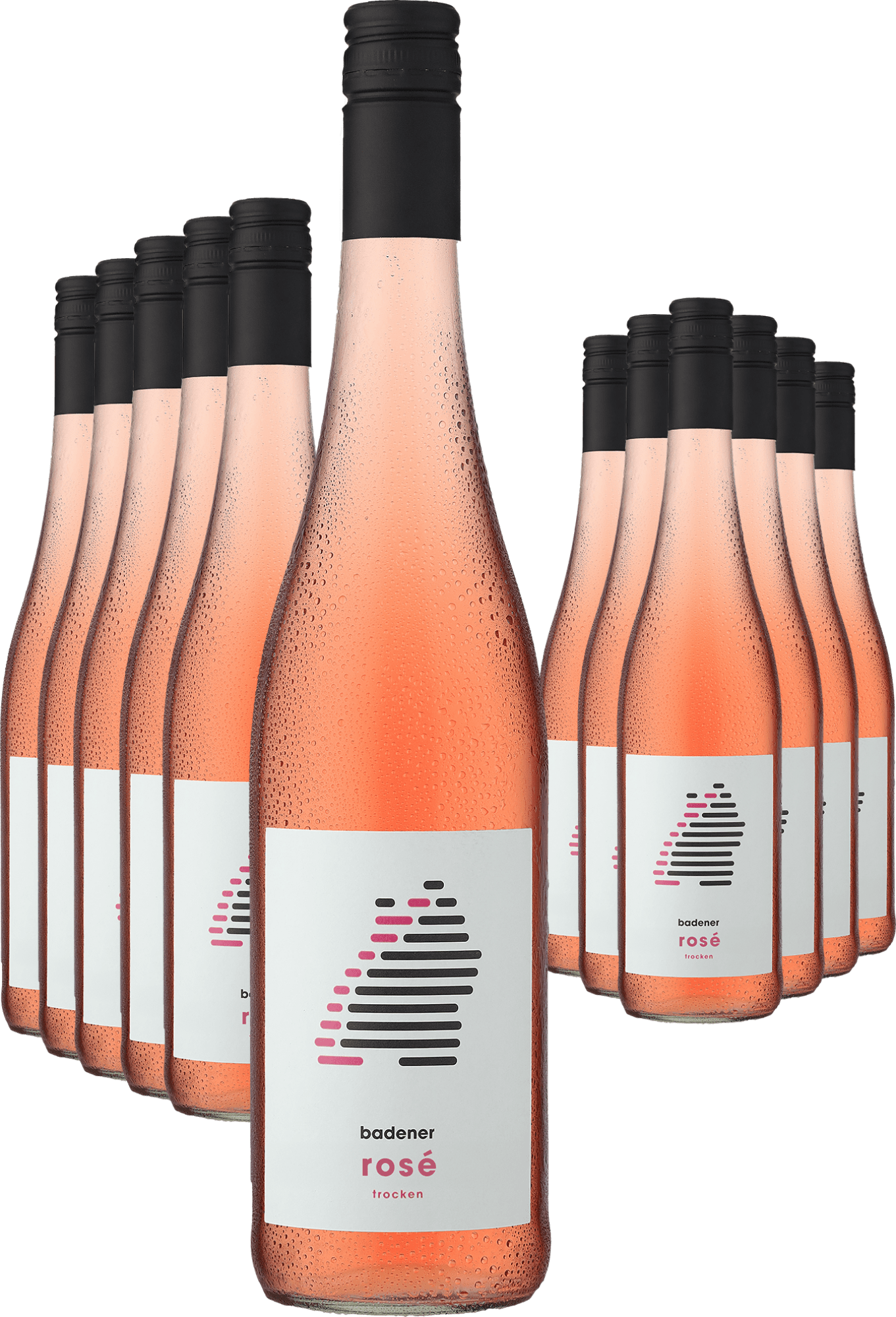 4002859995335 - 6+6-PAKET badener Rosé 2024