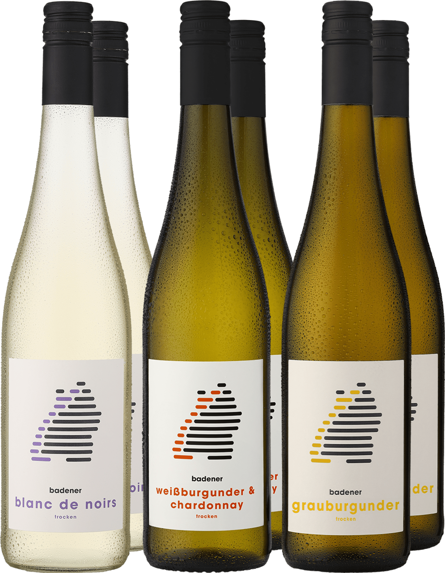 4002859995830 - 6er-Probierpaket »Geschmack Badens«