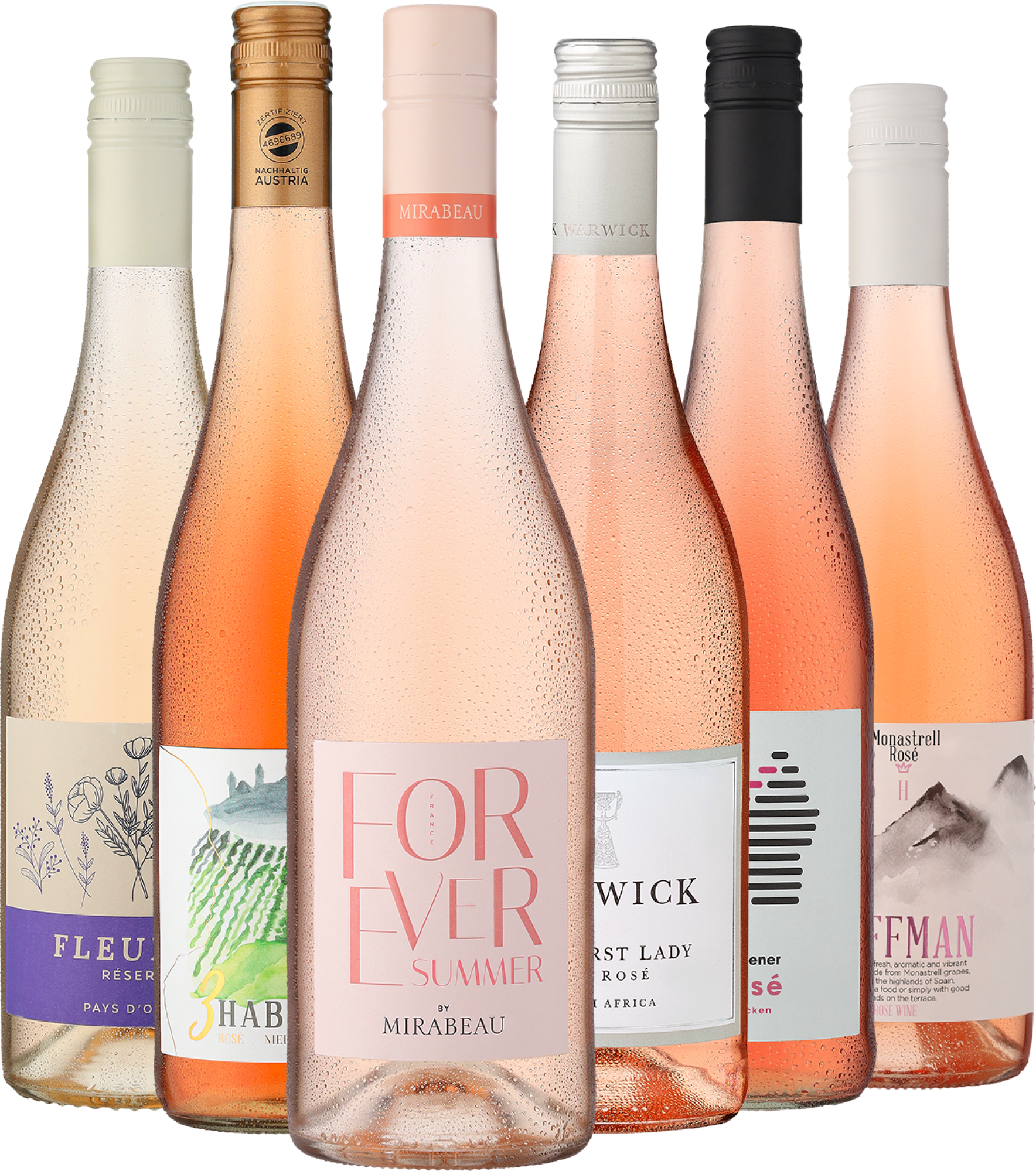 4002859996769 - 6er-Probierpaket »Rosé Selektion«