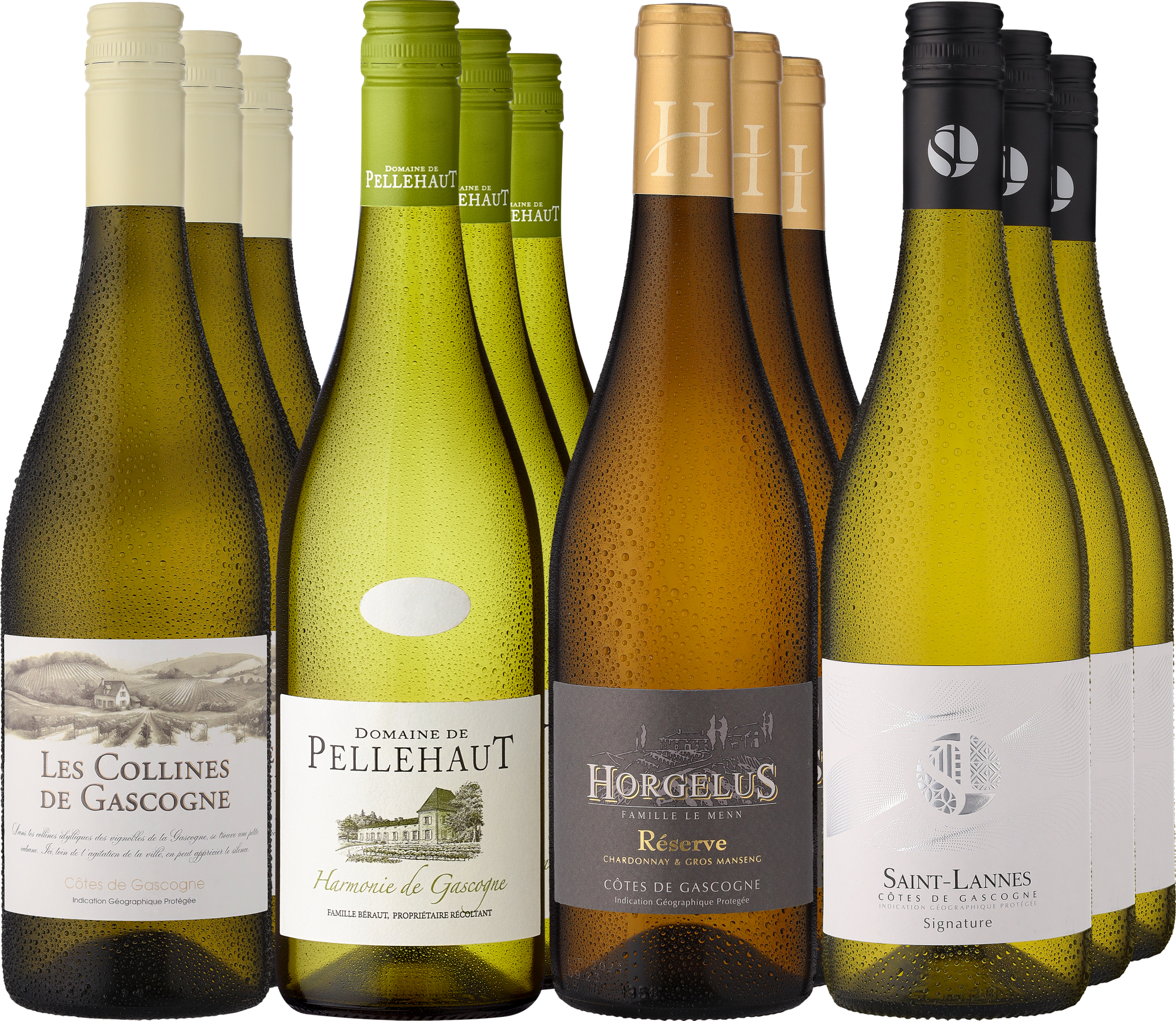 4002859996806 - 12er-Probierpaket »Best of Gascogne«