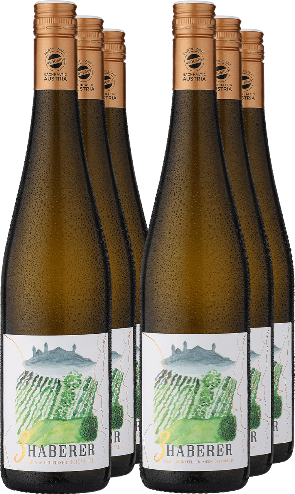 4002859996998 - 6er-PAKET »Gemischtes Doppel 3 Haberer«