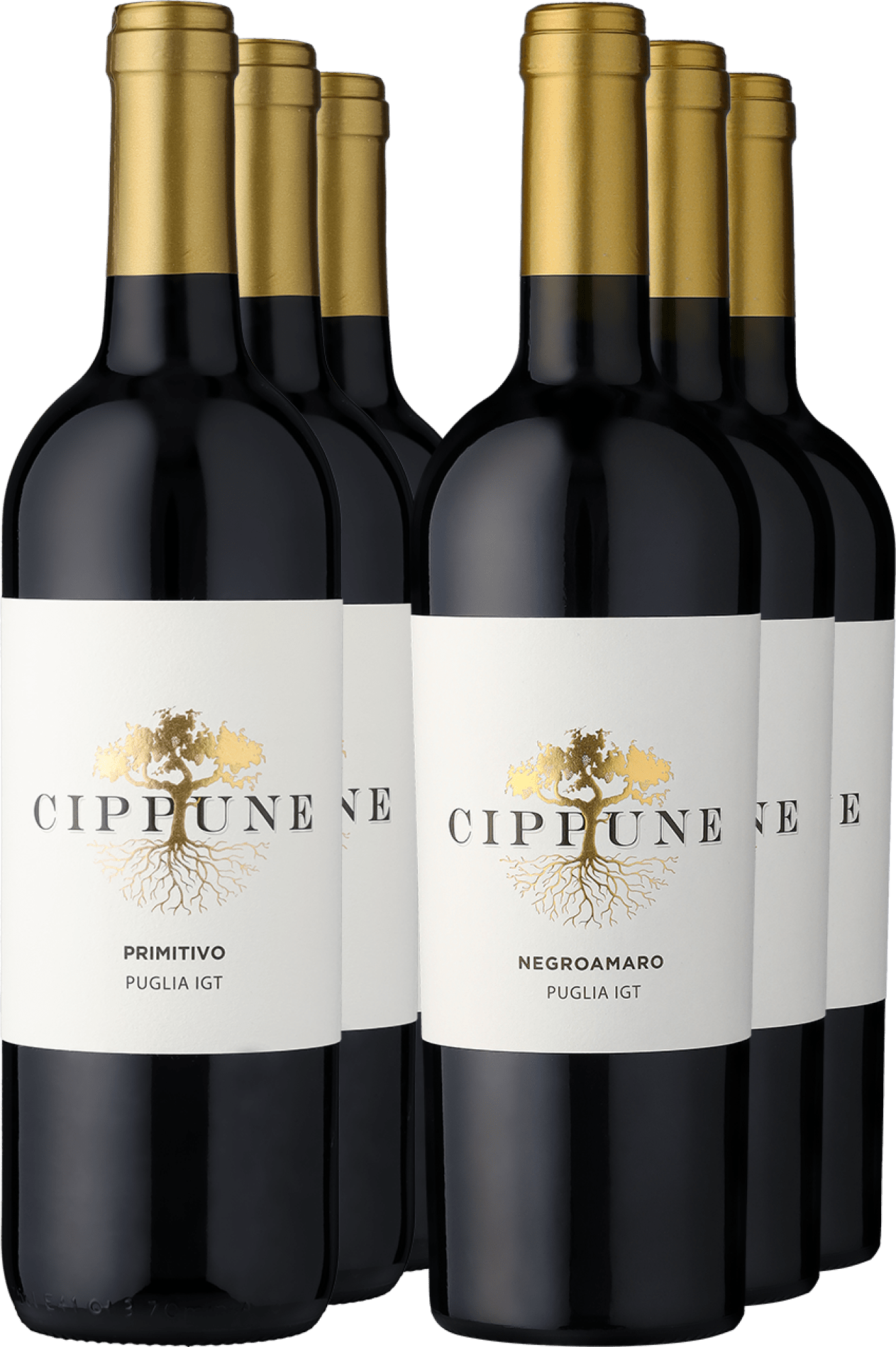 4002859997001 - 6er-PAKET »Gemischtes Doppel Cippune«