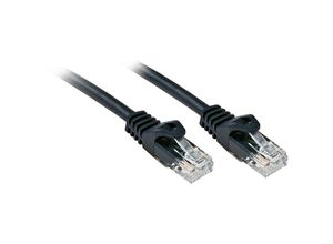 4002888481922 - 48192 RJ45 Netzwerkkabel Patchkabel cat 6 u utp 100 m Schwarz 1 St - Lindy