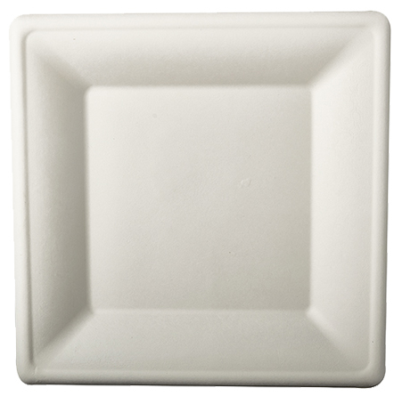 4002911824511 - Teller Zuckerrohr pure eckig weiss 26 x 26 cm 50 Stück 50 Stüc