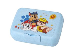 4002942674741 - - Lunchbox Paw Patrol Grow mit Trennschale