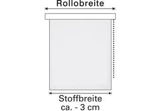 4003018291831 - EasyFix Rollo bestickt silber 60 x 150 cm Raffrollo - Gardinia