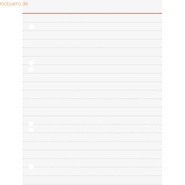 4003273111325 - Ringbucheinlagen 10-66301 liniert A5 70g 6-fach-Lochung 4003273111325 Brunnen