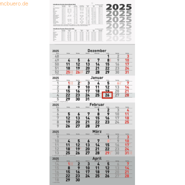 4003273785878 - 5-Monatskalender Wandkalender 30x63cm einteilig 2025