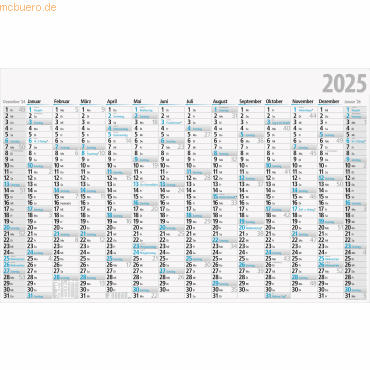 4003273788138 - 5 x Jahresplaner 121x77cm 14 Monate 2025