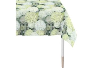 4003440247512 - Tischdecke APELT 7307 SUMMERTIME Sommerdeko Sommer Tischdecken Gr B L 150 cm x 250 cm 1 St rechteckig grün (grün weiß grau) Tischdecken Digitaldruck