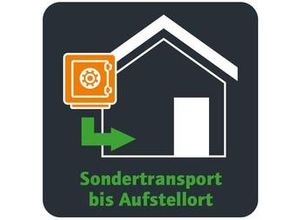 4003482896372 - Etagentransport für Tresor