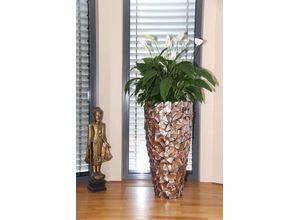 4003483194965 - fleur ami Pflanzkübel Muschel Pflanzgefäß Ø 50 cm Höhe 96 cm perlmutt