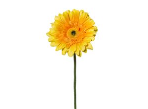 4003529047491 - Kunstblume GERBERA (H 63 cm)