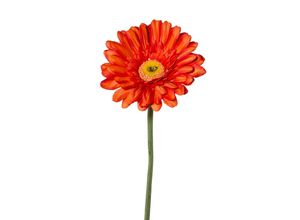 4003529047514 - Kunstblume GERBERA (H 63 cm)